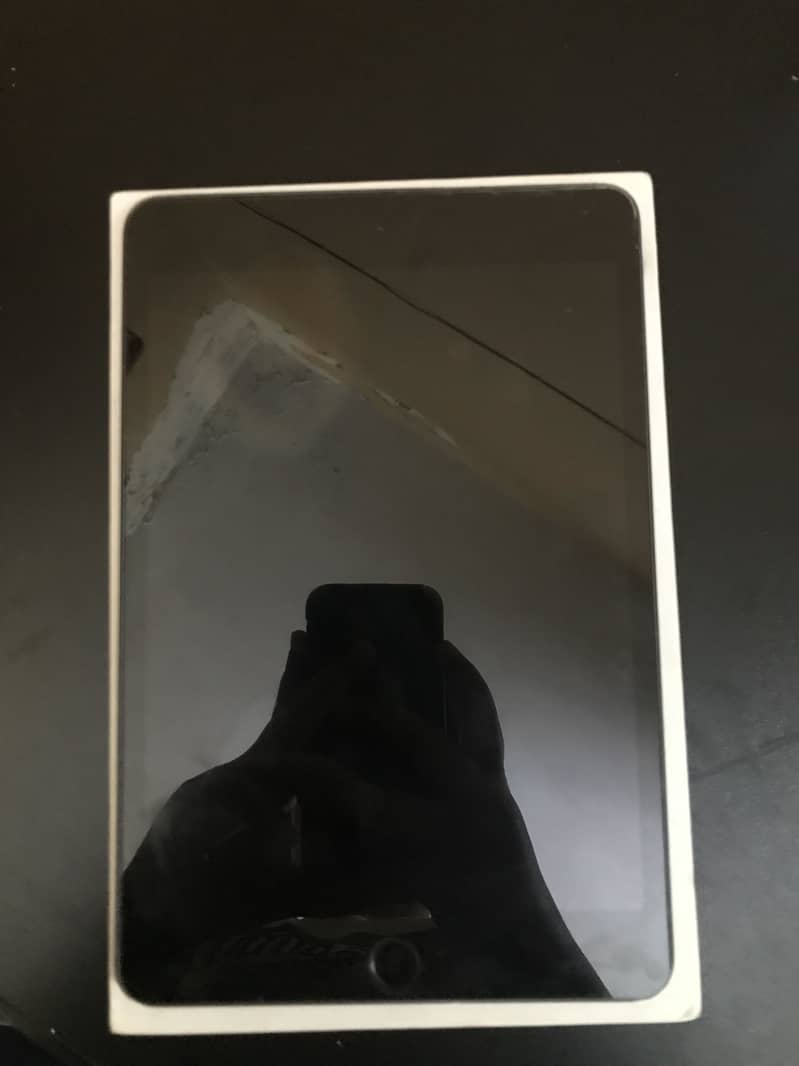 iPad mini 5 1