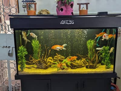 48 by 18  (4Fit with cabinet troly) fish aquarium