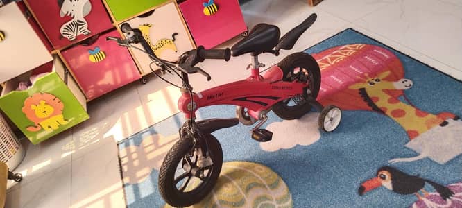 Kids imported bicycle
