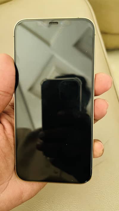 Iphone 12 pro max pta approved 256 gp