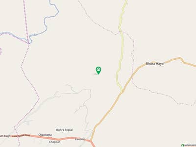 Right Time investment DHA