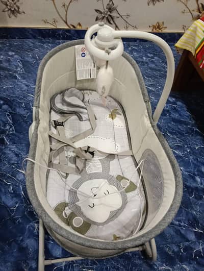 Brand New electric jhula