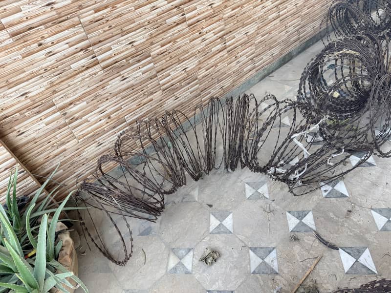 Razor wire 1
