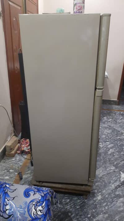 Dawlance  03037979924