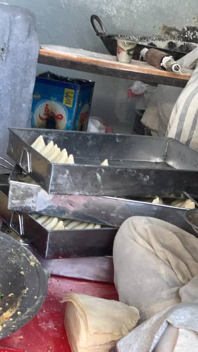 Samosas and spring rolls