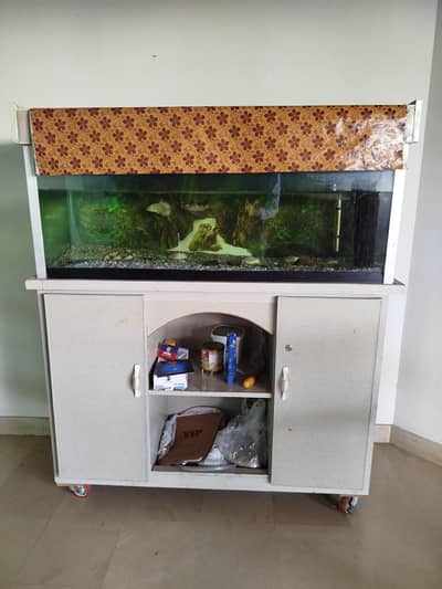 Fish Aquarium with 2 fish