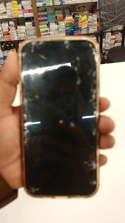 iphone 14 pro max icloud locked