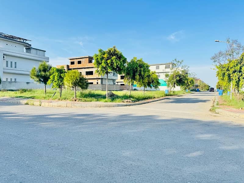 Solid and Level Ready to Construct plot for Sale 2