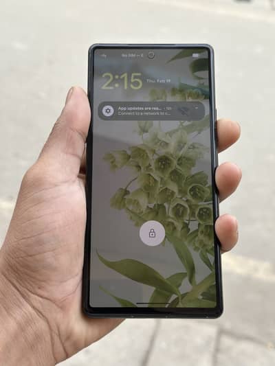 Pixel 6 PTA Approved