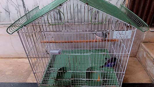 Finches with cage