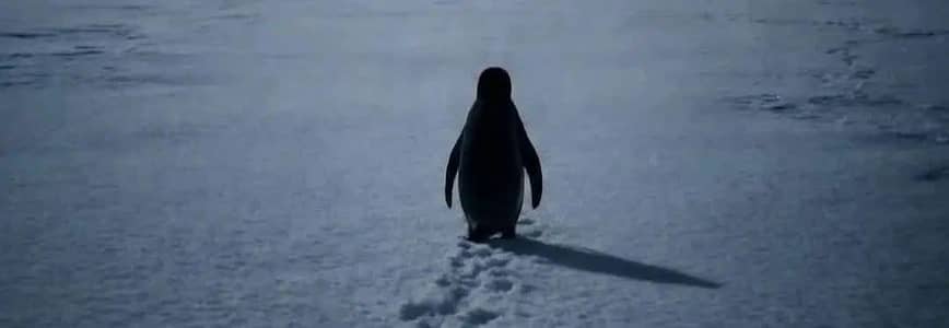 i need altoo car 21_22 ya 22 reasonable price