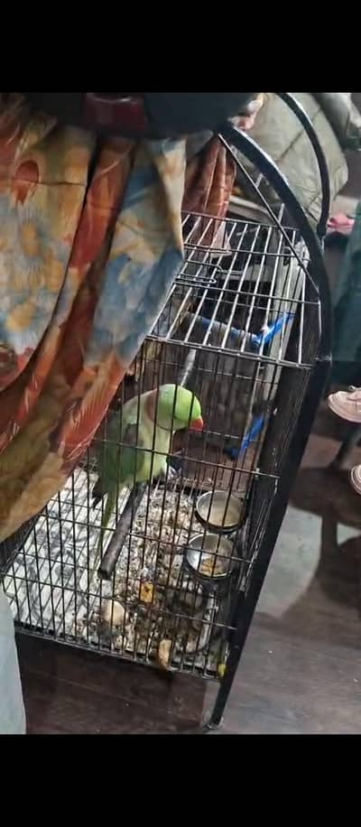 2 Saal ka pora ni hua abi tame ha bolta b ha