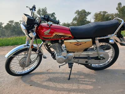 Gold Edition Honda 125 (23/24) Model