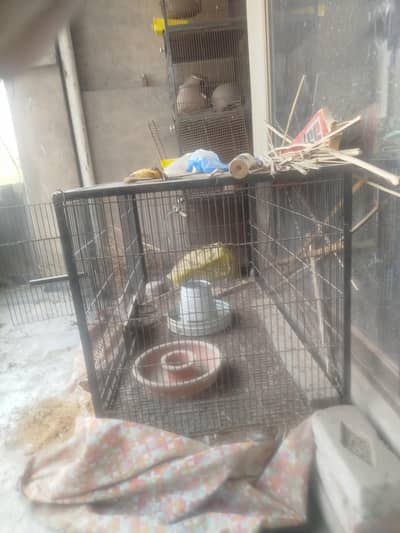 cages available for hens