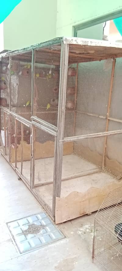 Cage / Birds cage / Hens Cage / Pinjra / Iron Cage / پرندوں کا پنجرا