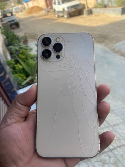 Iphone 12 pro max dual physical