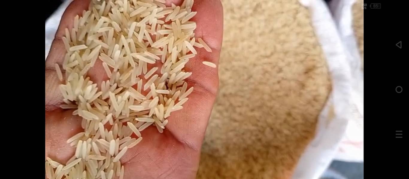 سیلا ایکسپورٹ کوالٹی 1121 کلبہار 1