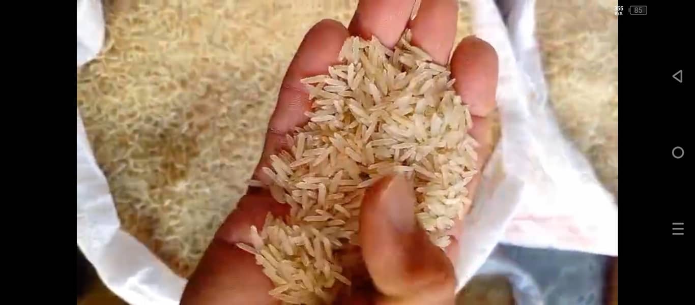 سیلا ایکسپورٹ کوالٹی 1121 کلبہار 2