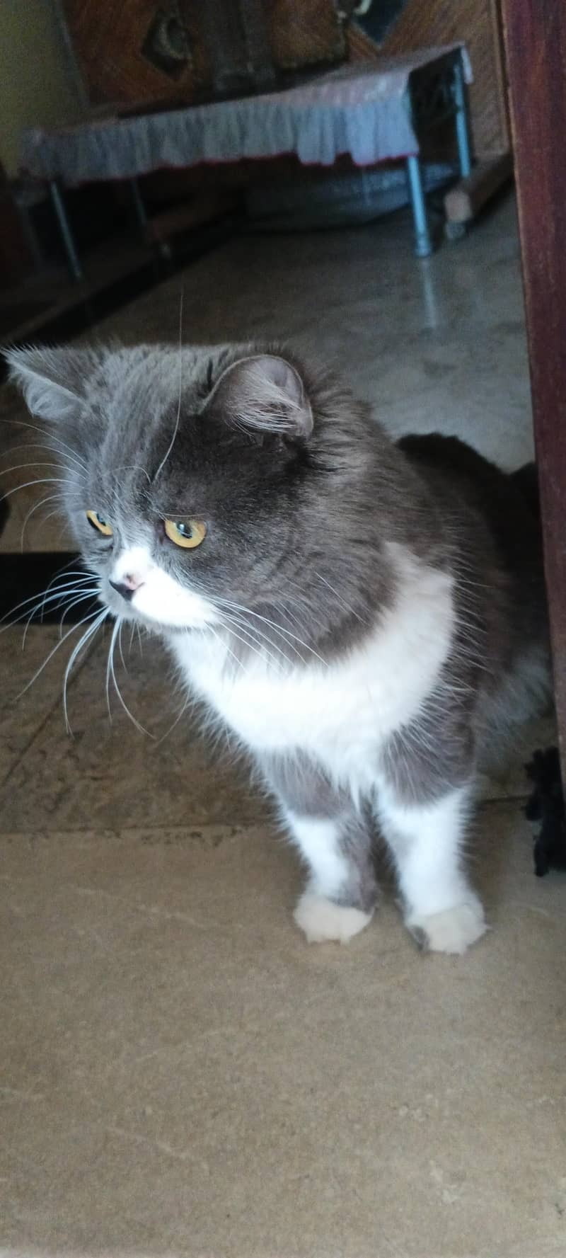 ٹوٹل سامان کے ساتھء 1