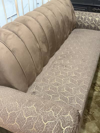 Local sofa poshish looks new