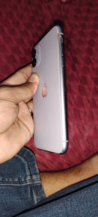 11 pta proved lush and packed mobile