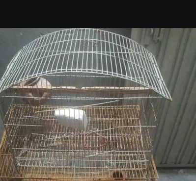 birds small cage