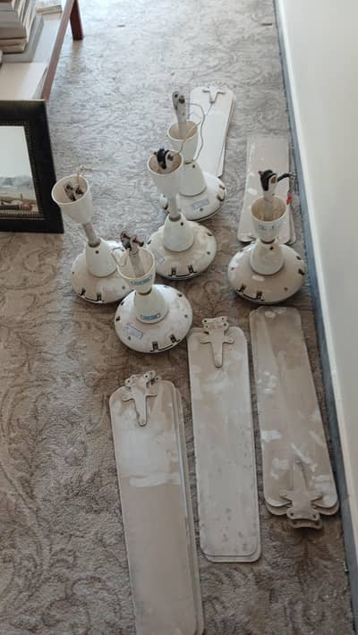 Pak Fans (Ceiling Fans)