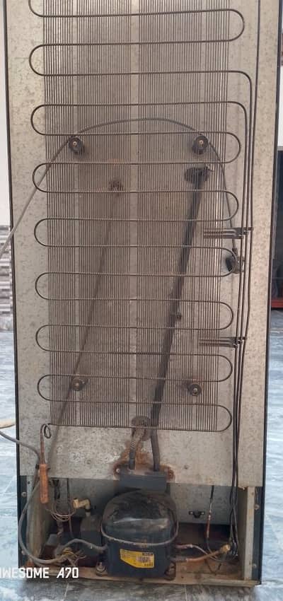 dowlance fridge medium