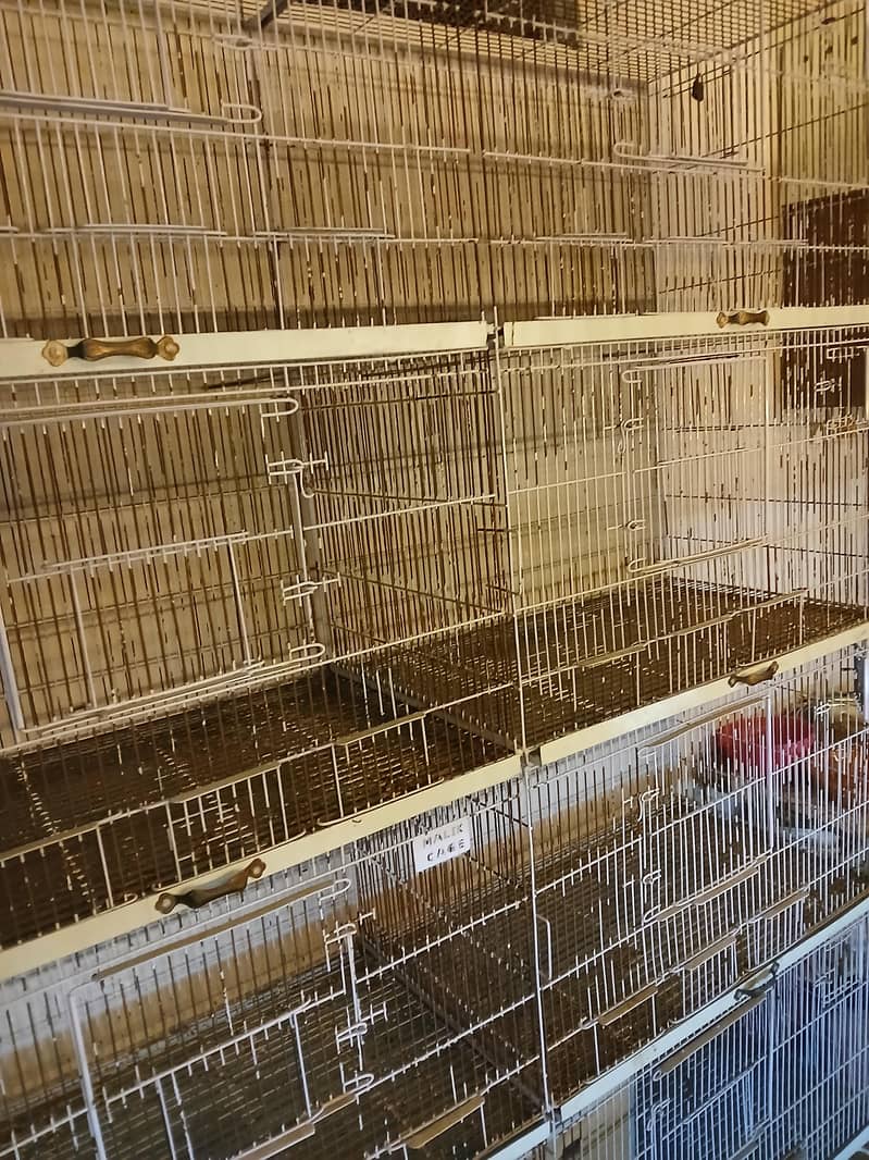 fixed cage 3