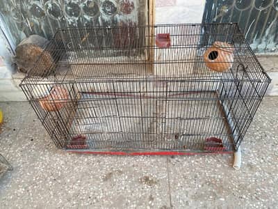 parrot cage for sale