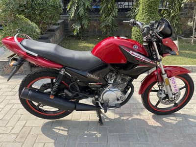 YAMAHA YBR 125 G 2021 (03223276769)  Total Genuinel