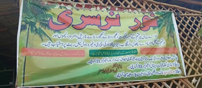 Experienced Gardener/labour wanted for Noor Nursery