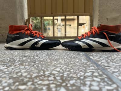 Originals never fade. Predators never miss