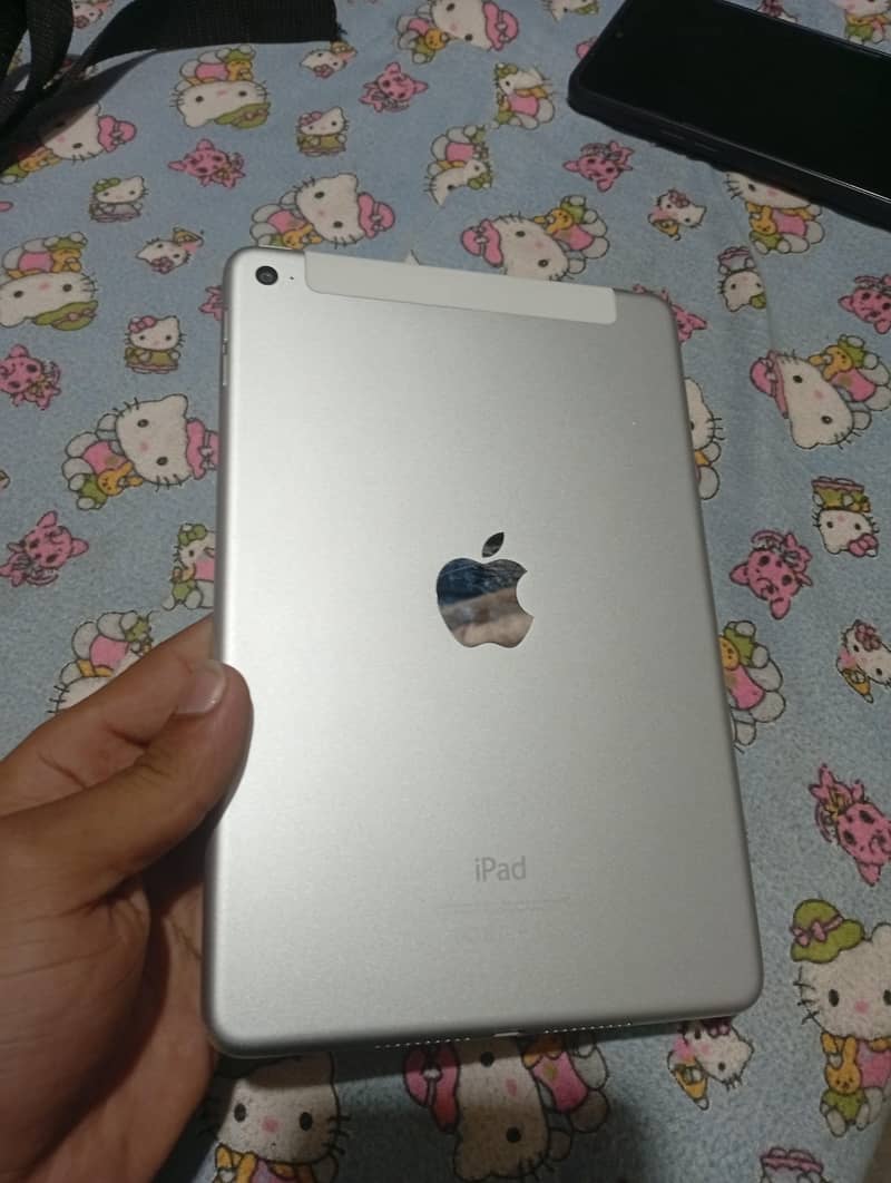 iPad mini4 0