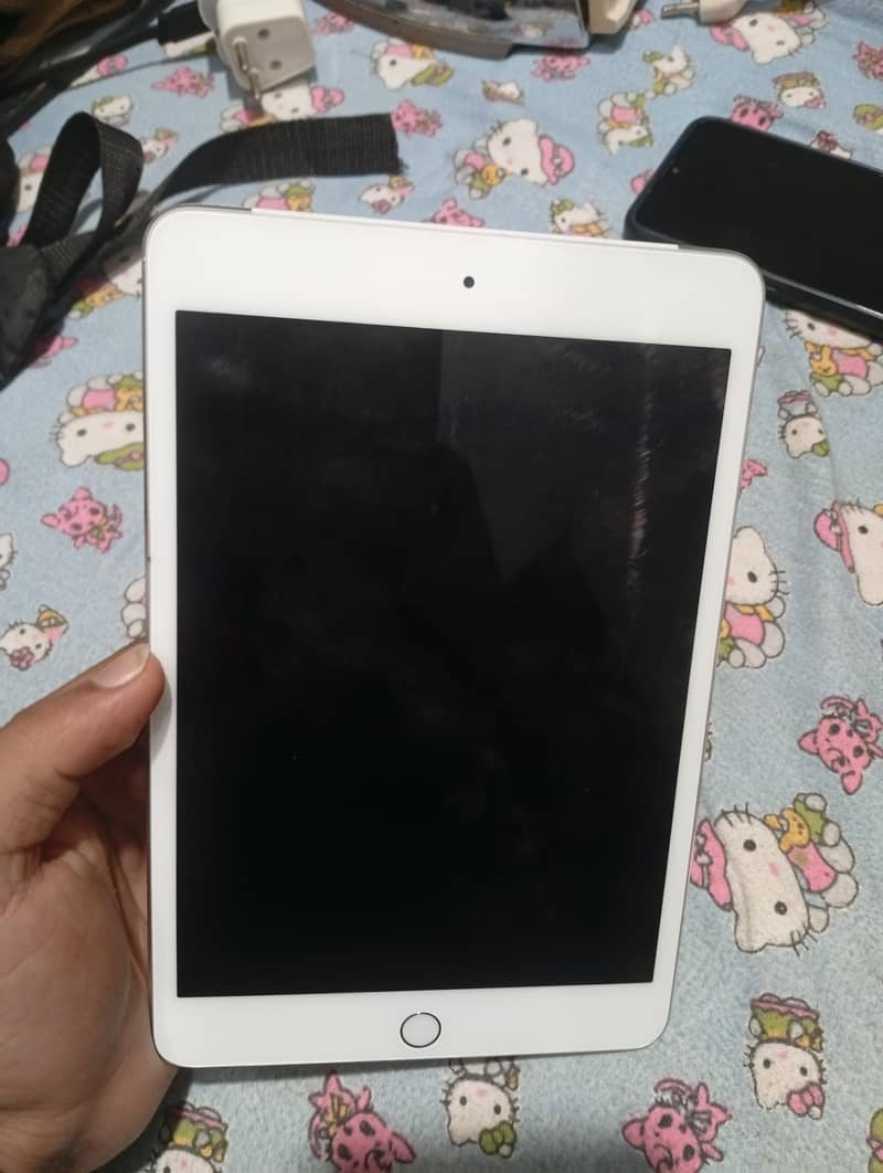 iPad mini4 2