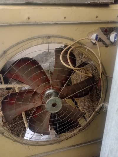 urgent sell Only serious buyers content