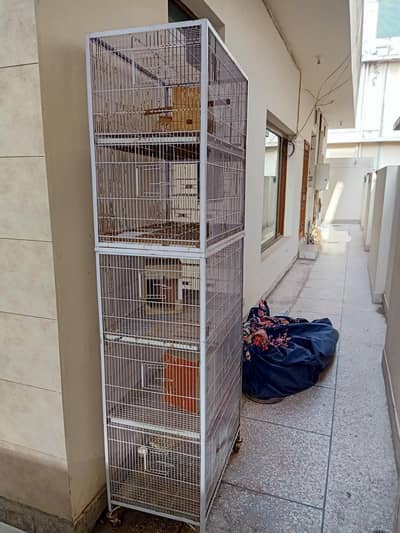 birds cages