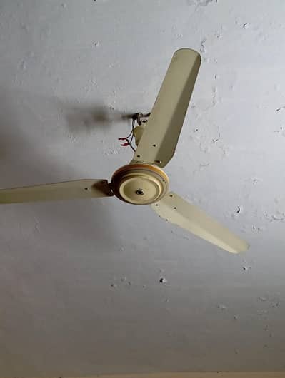 ceiling fan used