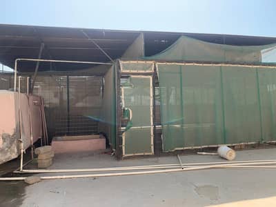 MASTER CAGE WITH 2 FLYING CAGES