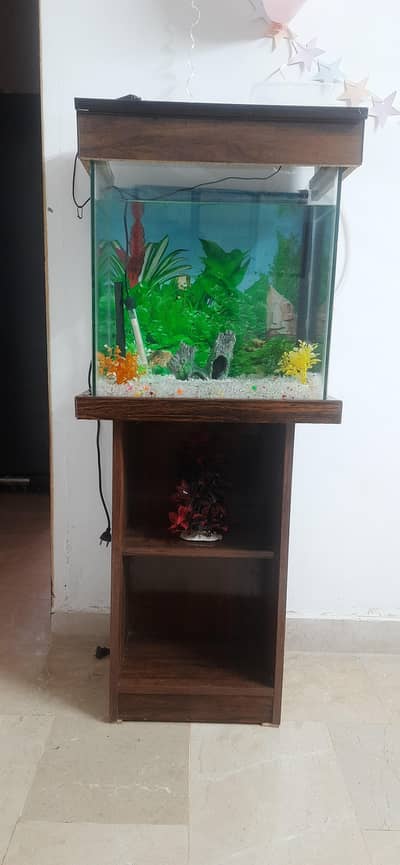 Fish Aquarium for Sale – Almost Brand New!