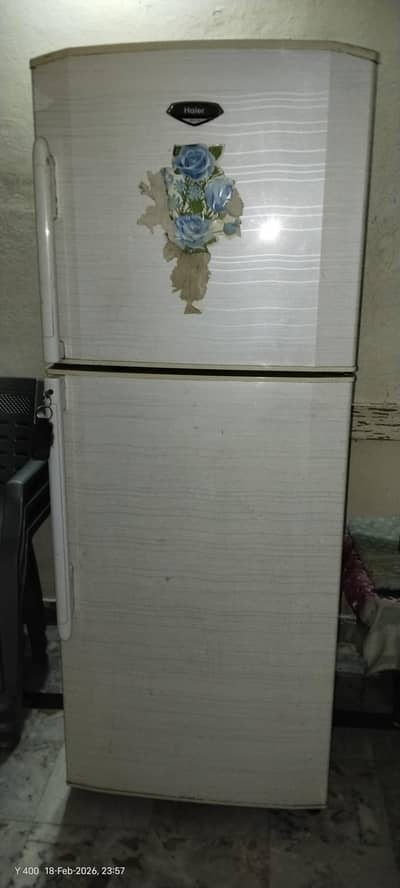 Haier freezer large size