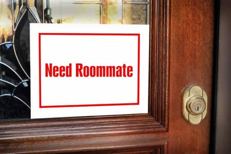 need roommate