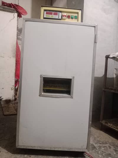 fully Healthy and active vaccinated birds