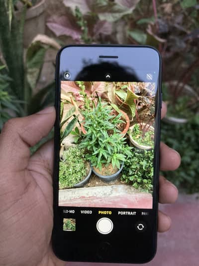 iPhone SE (2020) - Mint Condition