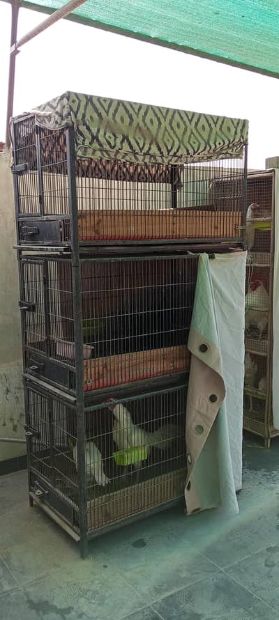 6 heavyweight cages for Gray parrots and other birds