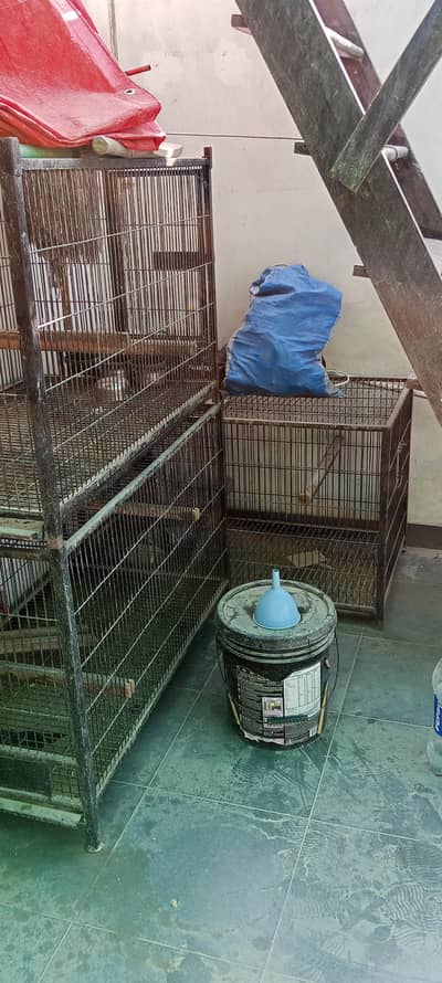 6 heavyweight cages for Gray parrots and other birds