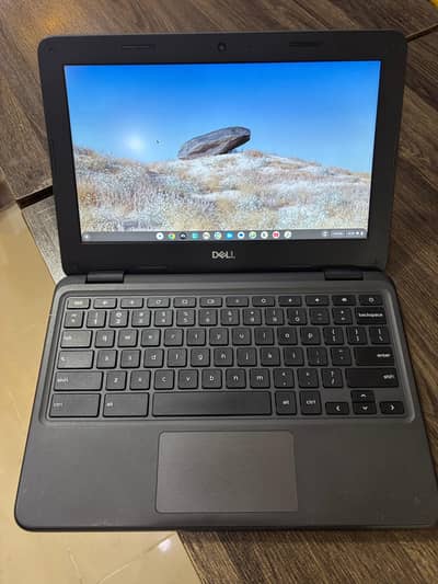 Dell chromebook 11 3100 Model