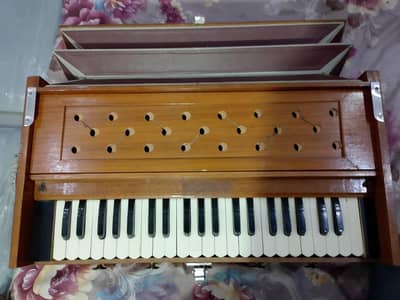 paris/palitana harmonium