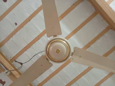 Fan 4 piece bilkul saff 03285940023