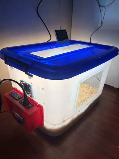 50 to 70 chicks brooder (03314329933)